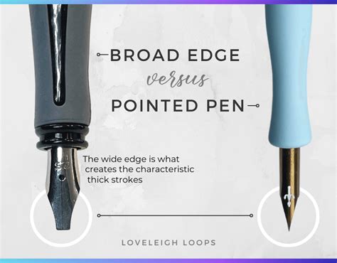 The Types Of Calligraphy Pens Compared Loveleigh Loops