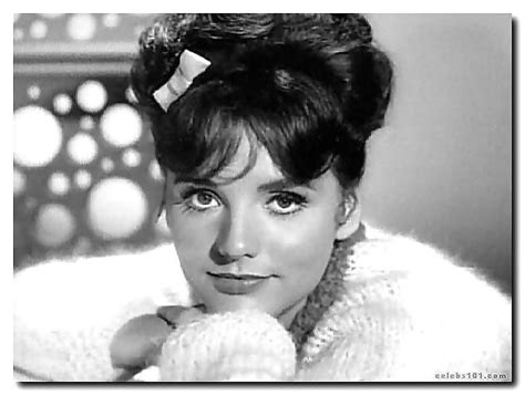 Dawn Wells Mary Ann Summers Porn Pictures XXX Photos Sex Images 52978 PICTOA