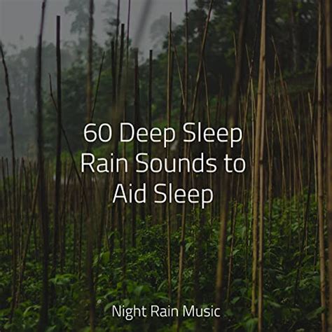 60 Deep Sleep Rain Sounds To Aid Sleep By Sonido Del Bosque Y