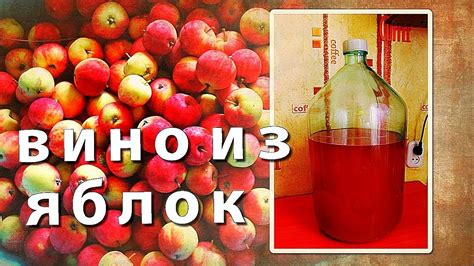 Домашнее вино из яблок - YouTube