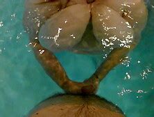 Big Tits Underwater Tube Search 971 Videos