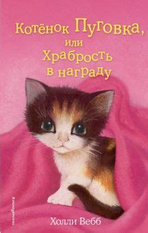 Книга: "Котенок Кэтти, или Секрет в шкафу" - Холли Вебб. Купить книгу ...