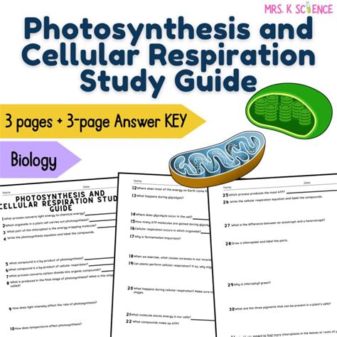 Biology Study Guide Answer Key Photosynthesis