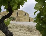 Domaine Viret - Philippe et Alain Viret - Rhône - Buy online Natural ...