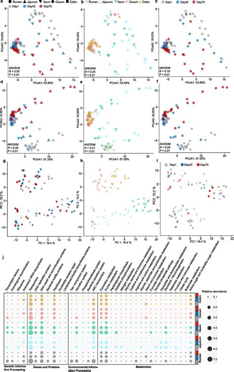 Metabolic Signature In Git Regions Of Sika Deer From Birth To