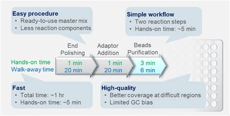 PCR-Free NGS DNA Library Prep Kit - Low Bias, High Yield