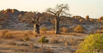 The Best Parks And Game Reserves In Botswana Safari Index Africa