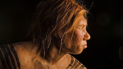 New Neanderthal Genome Shows How Ancient DNA Affects Your Health