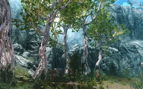 Skyrim Flora Overhaul at Skyrim Nexus - mods and community