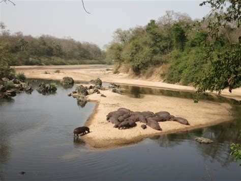 Fotos De Ngaoundere Imágenes De Ngaoundere Adamawa Region Tripadvisor