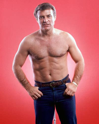 Robert Conrad Posters And Photos 248053 Movie Store