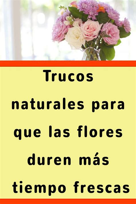 Trucos Naturales Para Que Las Flores Duren M S Tiempo Frescas Moje