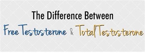 Total Testosterone Free Testosterone And Sex Hormone Binding Globulin