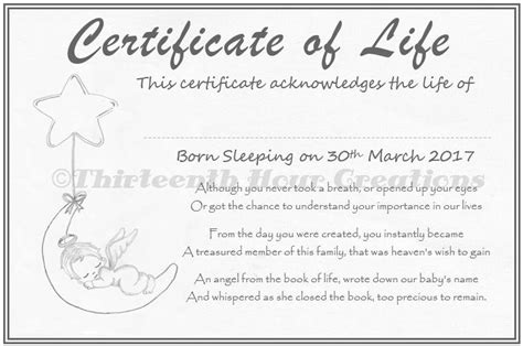 Unique Personalised Certificate Of Life Framed Or Unframed Etsy Uk