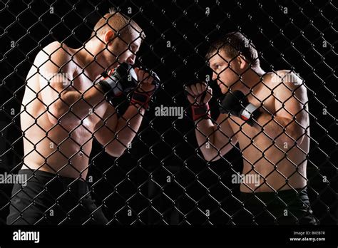 Cage Fighters Stock Photo Alamy