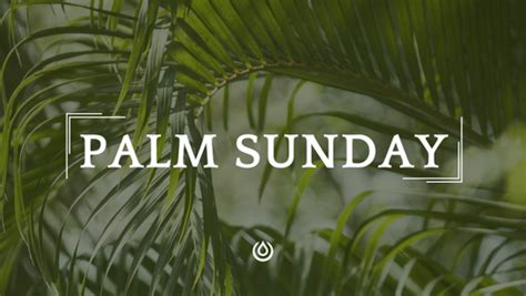 Palm Sunday Holy Week 2024 — Redeemer