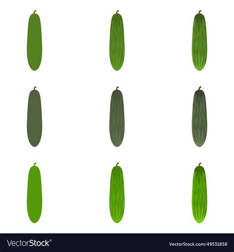 Cucumber Royalty Free Vector Image - VectorStock