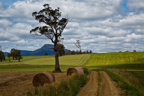 Wallpaper : road, sky, tree, field, clouds, rural, track, farm, farming, Australia, pasture ...