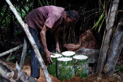 Komoditas Jagung Sejarah Konsumsi Produsen Impor Dan Perkembangan