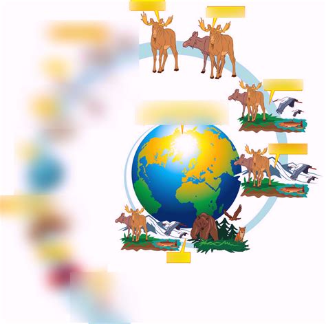 Ecological Hierarchy Diagram Diagram | Quizlet