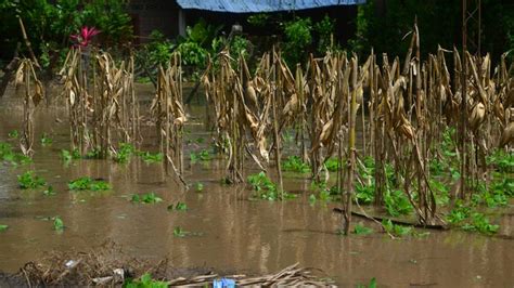 Tormenta Pilar Suma Cuatro Muertos Y Da A Cultivos En Centroam Rica