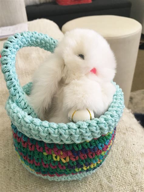 How to make Crochet Easter Baskets — CraftBits.com