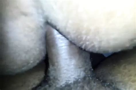 Free Thot Anal Porn Videos Xhamster