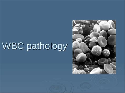 Wbc Pathology Subject 11 презентация доклад проект