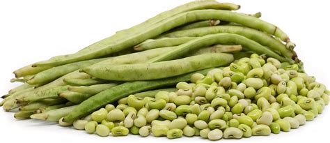 Cream Peas Information and Facts