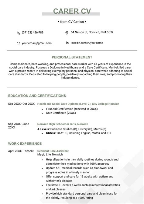 Carer Cv Example Writing Guide For