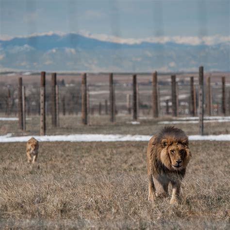 Animal Sanctuary