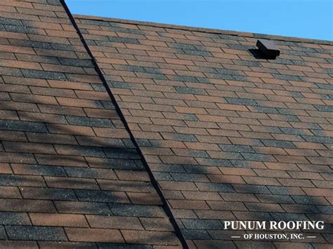 Popular Myths About Asphalt Shingles Debunked Punum Roofing Of