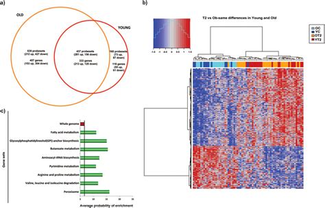 Early Onset And Classical Forms Of Type 2 Diabetes Generate A Gene