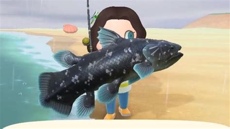 Animal Crossing Coelacanth: How to catch a Coelacanth in New Horizons ...