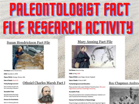 Paleontologist Fact Sheet Activity Teaching Resources