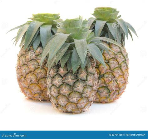 Ananas Fotografia Stock Immagine Di Maturo Tropicale 83794158