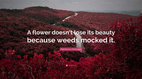 Matshona Dhliwayo Quote A Flower Doesnt Lose Its Beauty Because