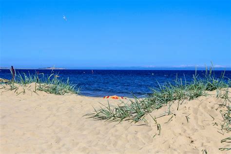 Sanddunes in the sun | Sandbanks Beach: Official Visitor Guide to Sandbanks