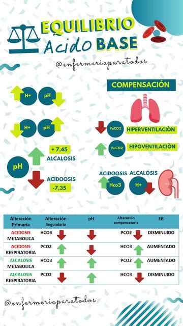 Equilibrio Acido Base Mar A Jos Gomes Enfermeriaparatodos Udocz