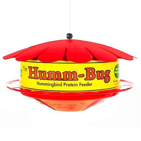 Hummingbird Protein Fruit Fly Feeder 865300000200