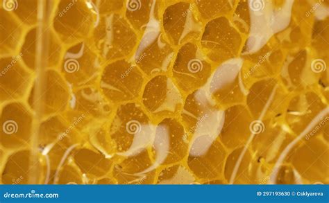 Macro Honeycomb With Pure Golden Honey Elixir Flow Healthy Natural