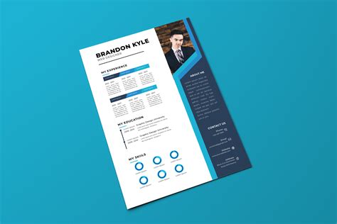 Professional Resume Graphic By Storictype Creative Fabrica