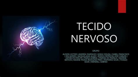 Tecido Nervoso Estrutura E Função Ppt