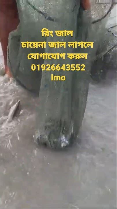 cazena jal cazena dozar ring jal ring cai cazena cai