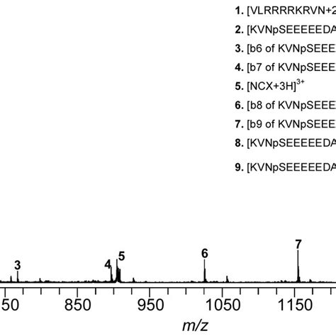 Esi Ms Ms Spectra Of Peptide Mixture Consisting Of Pmol Ul Of