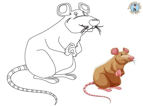 Rat Coloring Page Free Printables Treasure Hunt 4 Kids