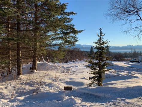 Winter finally arrives in Homer - RV Sites in Homer Alaska