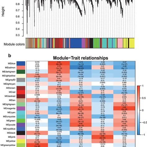 Scale Free Weighted Gene Coexpression Network Construction Analysis A