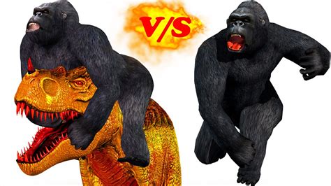 Dinosaur vs Gorilla fight and family finger Rhymes a funny cartoon ...