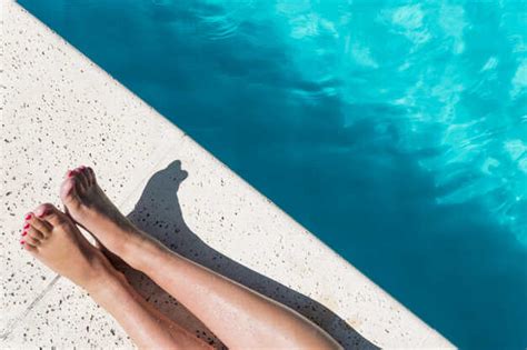 Xvideos quer ter funções parecidas o Youtube